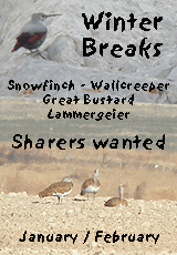 bird watching vacation autumn winter banner